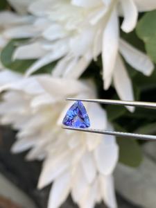 Grade AAA Naturel Non Chauffé Bio Couleur Tanzanite Trillion Cut Pierre 0.94 Carat Excellente Couleur Naturel Zoisite Loupe Propre - Product Image 5