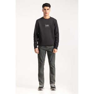 Sweat-shirt 100% coton à col rond, écologique, tailles XS-6XL, imprimé à l'écran, motif uni, toutes saisons, MN-SWS-WS24-060 - Product Image 1