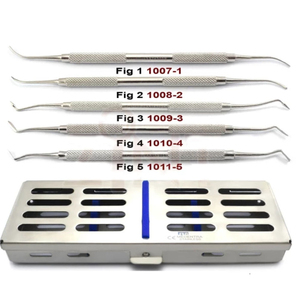 ผู้ผลิตและจำหน่ายคุณภาพสูง Pissco สำหรับหัววัดทางทันตกรรมแบบสองด้าน หัววัดสำรวจทางทันตกรรม หัววัดวินิจฉัยทางทันตกรรม - Product Image 4