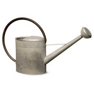 Arrosoir en métal galvanisé marron, fournisseur en gros, nouveau design personnalisé, arrosoir en métal, premier fournisseur en Inde - Product Image 3