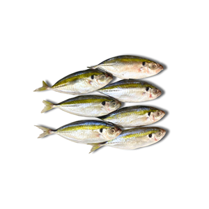 Pescado Trevally Entero Congelado con Rayas Amarillas, IQF/BQF, para Exportación y Venta al por Mayor, 24 Meses de Vida Útil, Origen Vietnam - Product Image 4