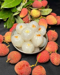 Lichi enlatado con sabor dulce en jarabe, lichi sin hueso, lichi fresco entero en lata de 20 oz para topping de bubble tea, batidos y té de frutas. - Product Image 1