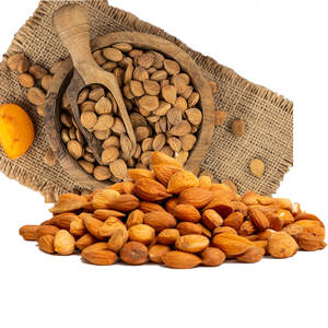 <b>Apricot</b> <b>Kernels</b> | Hygienically Packed for Cosmetic Raw Material - Product Image 5