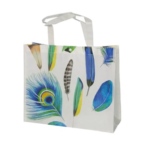 ถุงลามิเนตแบบไม่ทอที่ทนทานพร้อมกาวความร้อน PP สำหรับซูเปอร์มาร์เก็ต-เคลือบทั้งภายในและภายนอก - Product Image 1