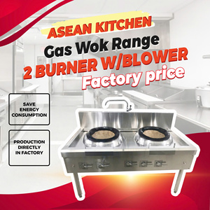 1 an de garantie 120W/220V électrique 1-cc 2-pour les machines de cuisine des hôtels 2 brûleurs Ventilateur de wok à gaz pour les hôtels et les restaurants du Vietnam - Product Image 6