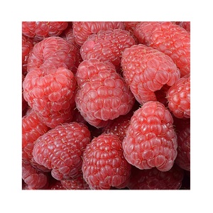 Offre Spéciale prix de gros fruits frais surgelés framboise Iqf - Product Image 1