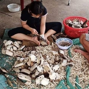 The Aroma of 100% Natural Pure Agarwood <b>Oud</b> Chips Huy Phat - Product Image 1