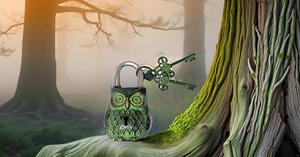High Security Smart Brass Owl Shape <b>Lock</b> Outdoor Antique Cabinet Padlock with Safety Features - Product Image 6