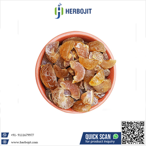 มะขามป้อมแห้งคุณภาพพรีเมียม สมุนไพรธรรมชาติแท้ บรรจุ 25 กก. ผลิตในอินเดีย-Herbojit International - Product Image 6