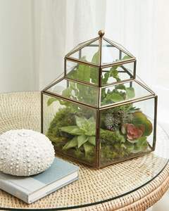 Beau terrarium en métal et en verre fait à la main pour la décoration de table de jardin de maison moderne affichage de plantes d'intérieur et d'extérieur - Product Image 4
