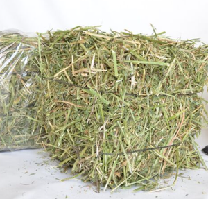 อาหารสัตว์ราคาถูก ผงถั่วเหลืองหมักสำหรับป้อนสัตว์ คุณภาพสูง สำหรับม้าและปลา บรรจุในถุง - Product Image 6