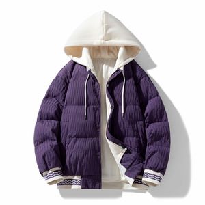 Chaqueta de Invierno Personalizada con Capucha para Hombre, Chaqueta Práctica, Chaqueta de Plumón Personalizada para Hombre - Product Image 1