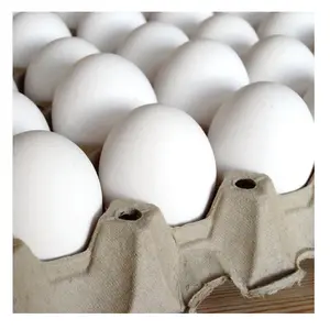 New Fresh Chicken Eggs Farmed Eggs Table Eggs in Excellent Quality White Shell and Brown Shell