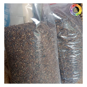 Graines de papaye tropicales séchées, ingrédient de thé aux graines de papaye à base de plantes, graines de papaye carica nettoyées entières | Graines médicinales en vente en gros - Product Image 6