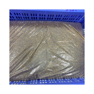 Frutas congeladas Zumo de maracuyá para bebidas de Vietnam al por mayor mejor precio y alta calidad - Product Image 5