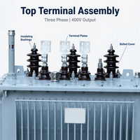 Transformateur de distribution immergé dans l'huile à trois bobines toroïdales de haute précision et à faibles émissions, 375 kVA, 12 kV, certifié IEC, série S13, ZISHENG