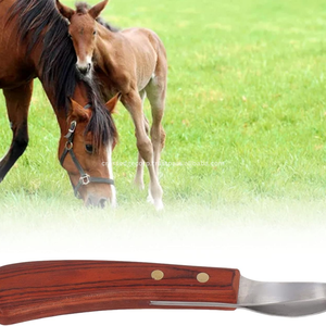 High Quality farrier tool Hoof Knife with Right Hand Wooden Handle Stainless Steel Horse Grooming Instruments Farrier Tools - Product Image 2