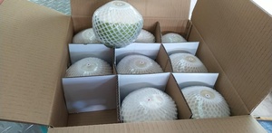 มะพร้าวน้ำหอมสดใหม่ ผลไม้เขตร้อนหวานๆ พร้อมส่งออกจากเวียดนาม - Product Image 6