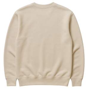 Sudadera de Cuello Redondo Neutral de Estilo Universitario, Bordado Premium de Chenilla, Inspirada en Alpha, Ropa Universitaria Vintage - Product Image 4