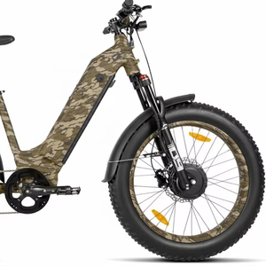 Bicicletta Elettrica Kru/3.0 a Trazione Integrale, Doppio Motore da 500W, Telaio Ribassato, Monovelocità, Fino a 77 km/45 mph, Classe Regolabile, Impermeabile - Product Image 1