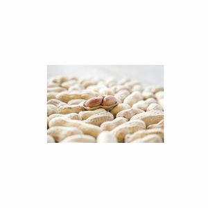 Cacahuetes secos orgánicos sin OGM de alta calidad, producto a granel de buena calidad, cacahuetes crudos molidos naturales - Product Image 1