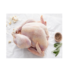 Pavo Entero Halal Fresco Congelado, Carne de Pavo Cuidadosamente Procesada para Servicios de Alimentación y Venta al por Menor - Product Image 5