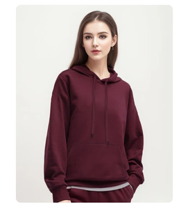 Offre Spéciale Sweat à capuche pour hommes de haute qualité, personnalisé, multicolore, motif solide, hiver, meilleur vendeur du fournisseur en gros - Product Image 1
