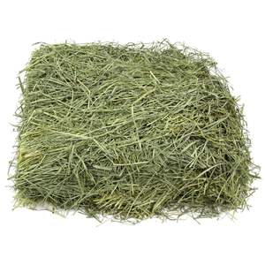 Heno de Alfalfa de Alta Calidad a Precio Económico para Alimentación Animal, Heno de Alfalfa/Heno de Timothy a Precio de Descuento - Product Image 5