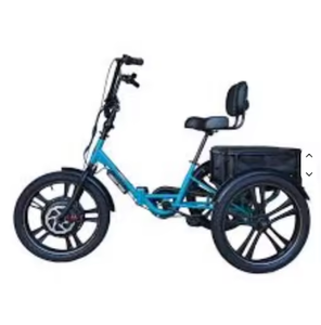 Triciclo Eléctrico Plegable de Doble Motor de 48v 700w con Batería de Litio de 42x22x33 Pulgadas MT-FOLD-TRK-700 - Product Image 1