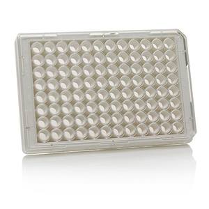 Placa de Cultivo Celular de 6 Compartimentos Nunc, Tratada para Cultivo de Tejidos (Hecha en China, Cat. N.°) No. 165306) - Product Image 1