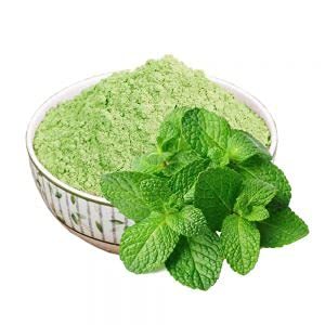 Polvo de hoja de menta salvaje para alimentos saludables Alta demanda utilizada para aromatizantes y suplementos nutricionales - Product Image 2