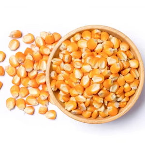 Số lượng lớn <span class=keywords><strong>popping</strong></span> Ngô để bán với giá chiết khấu lý tưởng cho rạp chiếu phim tiệm bánh và snack Nhà cung cấp - Product Image 1