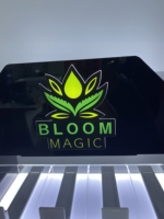 Vitrine de Présentation de Stylos à Tabac Tinya, Vitrine LED Vape, Présentoir de Comptoir en Acrylique pour Magasin de Tabac et Électronique