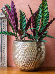 Maceta texturizada de metal de alta calidad para decoración de hogar y jardín con logotipo personalizado a bajo precio - Product Image 3