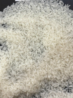 Beras Vietnam JASMINE kualitas terbaik beras gandum panjang beras putih 5kg 10kg 25kg tanaman baru untuk ekspor dalam jumlah besar