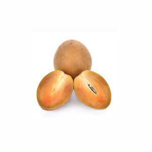 Fruits de sapote frais de qualité supérieure, approvisionnement en chikoo, produits tropicaux biologiques, vente en gros, exportation, haute qualité, expédition en vrac, directement de la ferme - Product Image 4