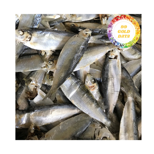Meilleure vente au Vietnam - 100% hareng séché naturel avec le meilleur prix et la qualité supérieure - Product Image 1