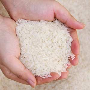 Riz Basmati à grains longs biologiques de haute qualité, 5% de grains cassés, pour la cuisson - Product Image 2