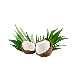 Développement de l'industrie alimentaire biologique avec des produits agricoles séchés à la noix de coco - Product Image 4