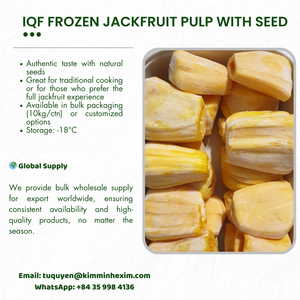 Fourniture en vrac en gros de jacquier jaune sucré congelé IQF du Vietnam modèle entier avec emballage sous vide - Product Image 6