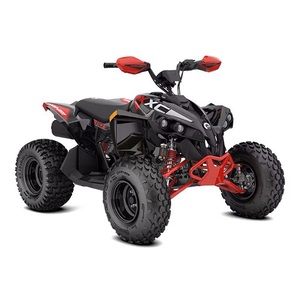 Rene-gade X XC 110 EFI de Alta Calidad, Todoterreno, para Jóvenes Conductores, 2WD/4WD - Product Image 2