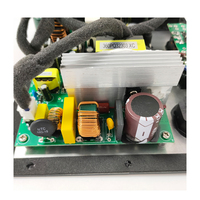 Amplificateur de puissance professionnel commutable ON / AUTO intégré 100W Amplificateur de plaque de subwoofer CLASS D
