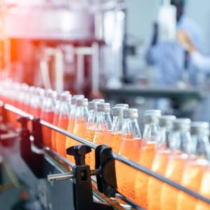 Purée de fraises et de graines de basilic fraîchement pressée en bouteille en verre de 9,8 fl oz (290 ml) Fabrication en marque blanche OEM/ODM Vente en gros - Product Image 6