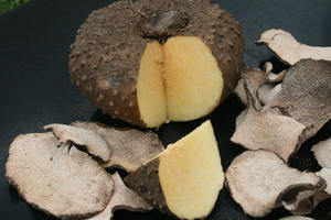 Высококачественные индонезийские сушеные конжаковые чипсы (100% чистые натуральные органические) для пищевой косметики и трав-вакуумная упаковка - Product Image 4