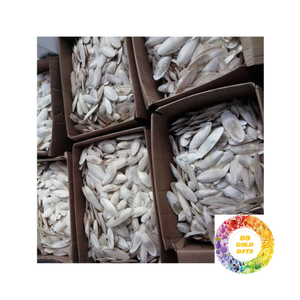 ปลาหมึกที่ผ่านกระบวนการและยังไม่ผ่านกระบวนการสำหรับอาหารนก - Product Image 5