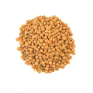 Organic New Crop <b>Lentils</b> Beans Premium Fresh Dried <b>Lentils</b> Directly Wholesaled with Quality Assurance Bulk Supply - Product Image 4