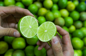 มะนาวไร้เมล็ดส่งออกคุณภาพสีเขียวสดและอุดมไปด้วยน้ำผลไม้จากเวียดนาม - Product Image 3