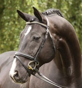 Para Hunter Bridle Set Headstall y Mecate de cuero anatómico de calidad superior para carreras de caballos y equitación - Product Image 2