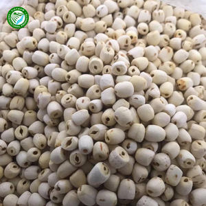 Graines de lotus blanc biologique Premium Vente en gros Fruits secs de haute qualité et utilisation d'aliments racines Type de stockage congelé Offre Spéciale - Product Image 3