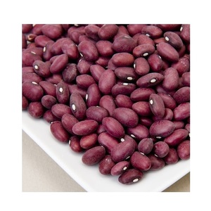 ถั่วแดงคุณภาพดีราคาถูกสำหรับส่งออก - Product Image 5